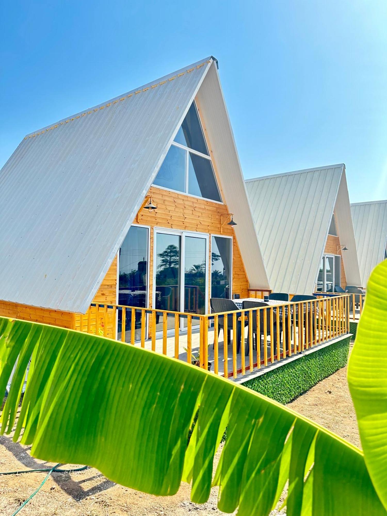 Loft Karpasia Rizokarpaso المظهر الخارجي الصورة